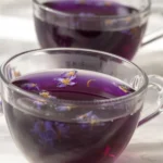 Brazilian Mounjaro drink recipe with apple cider vinegar, lemon, and ginger.